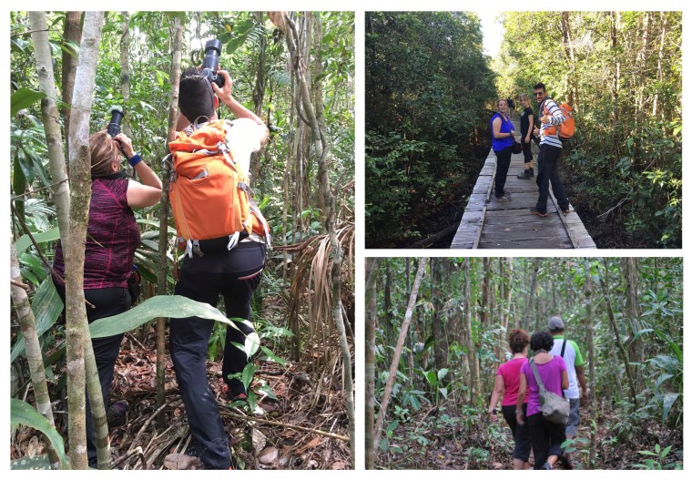 HACIA LAS PLATAFORMAS