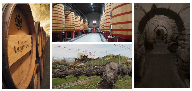 BODEGA MARQUES DE RISCAL