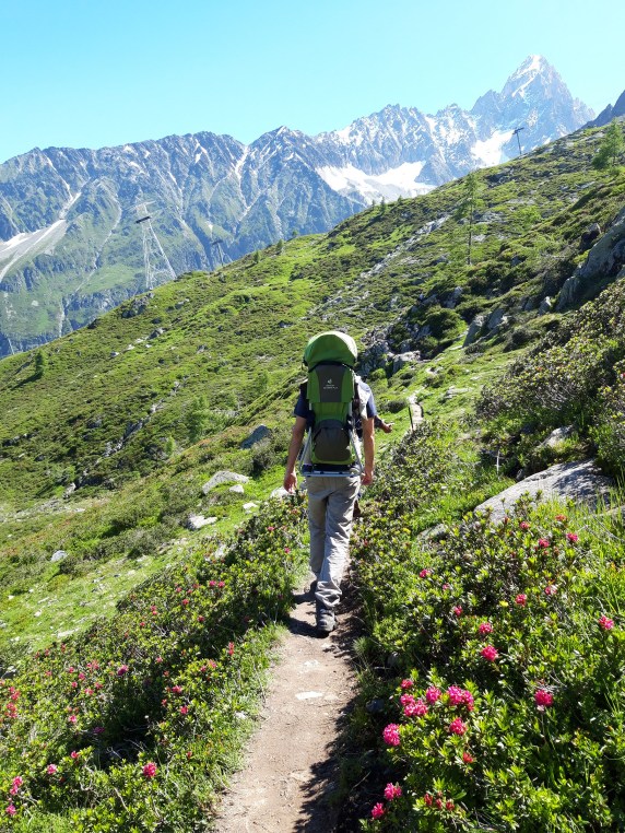 20210718_114135[1] copia