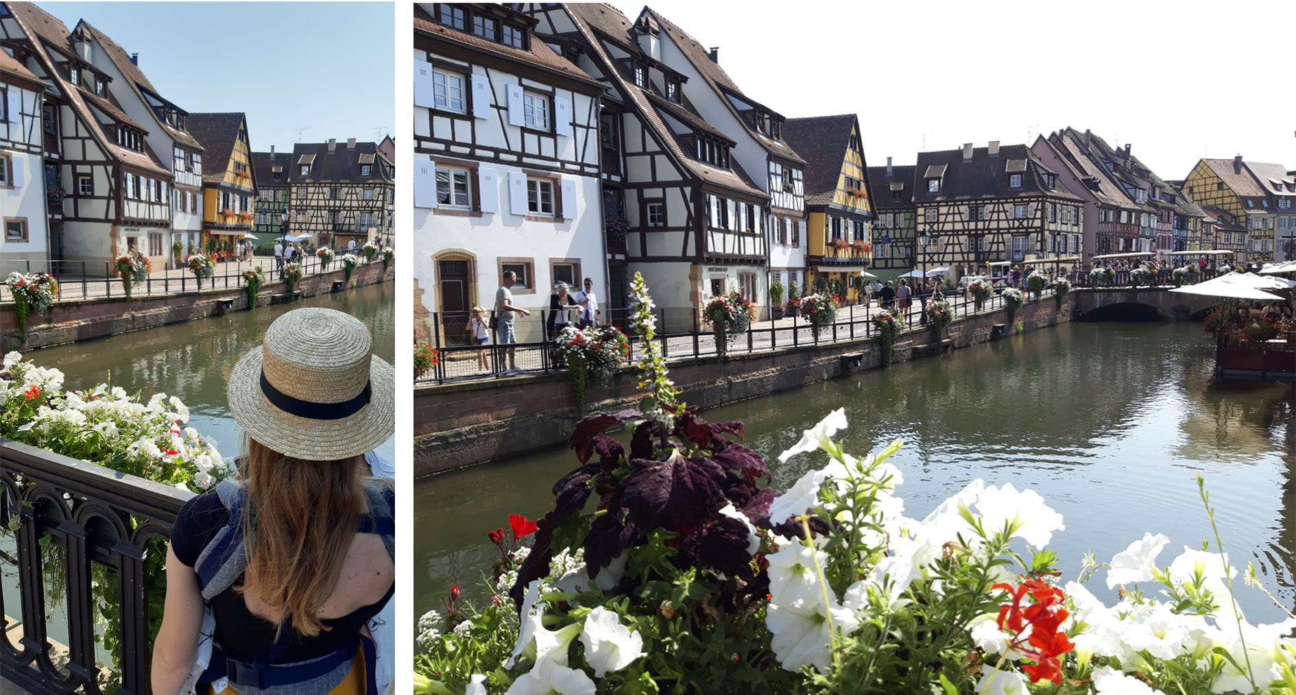 colmar