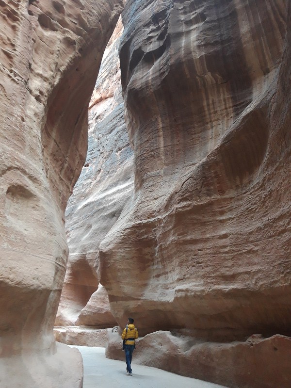 20221118_073441 copia