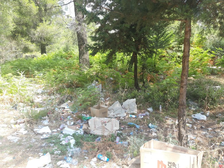 20220706_113447 copia