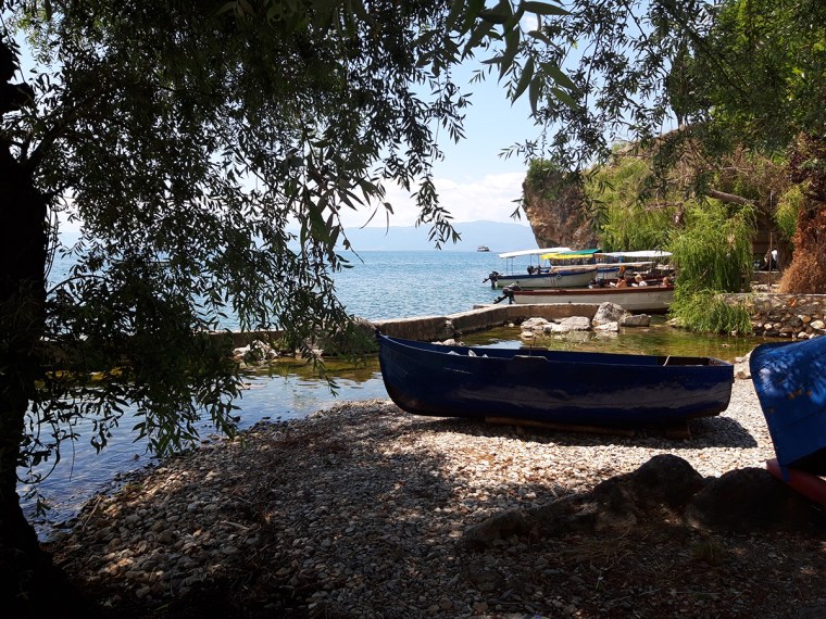 20220710_123608 copia