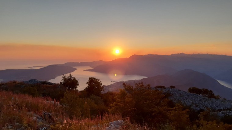 IMG-20220805-WA0006 copia