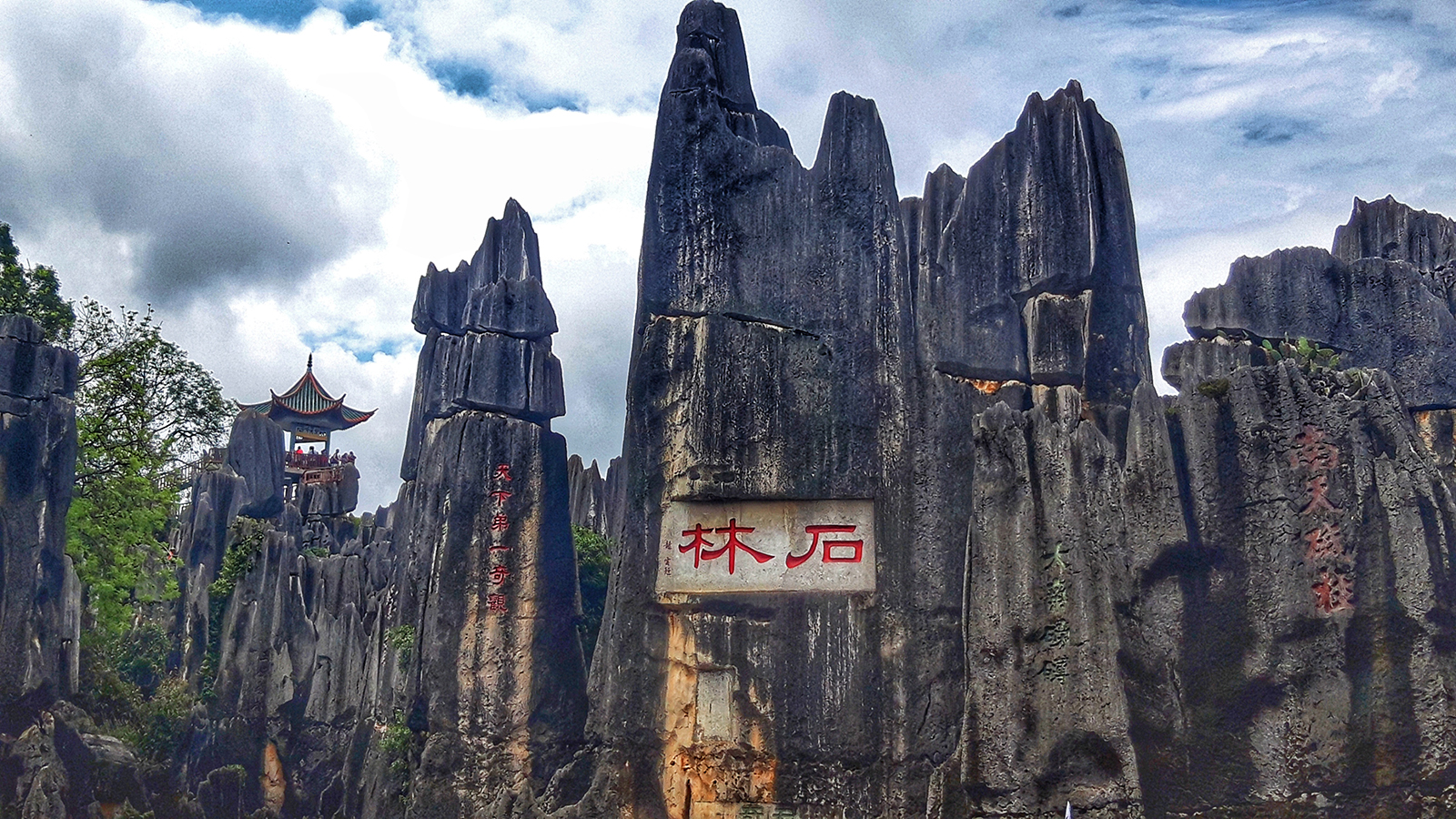 20240608_110135_edited copia