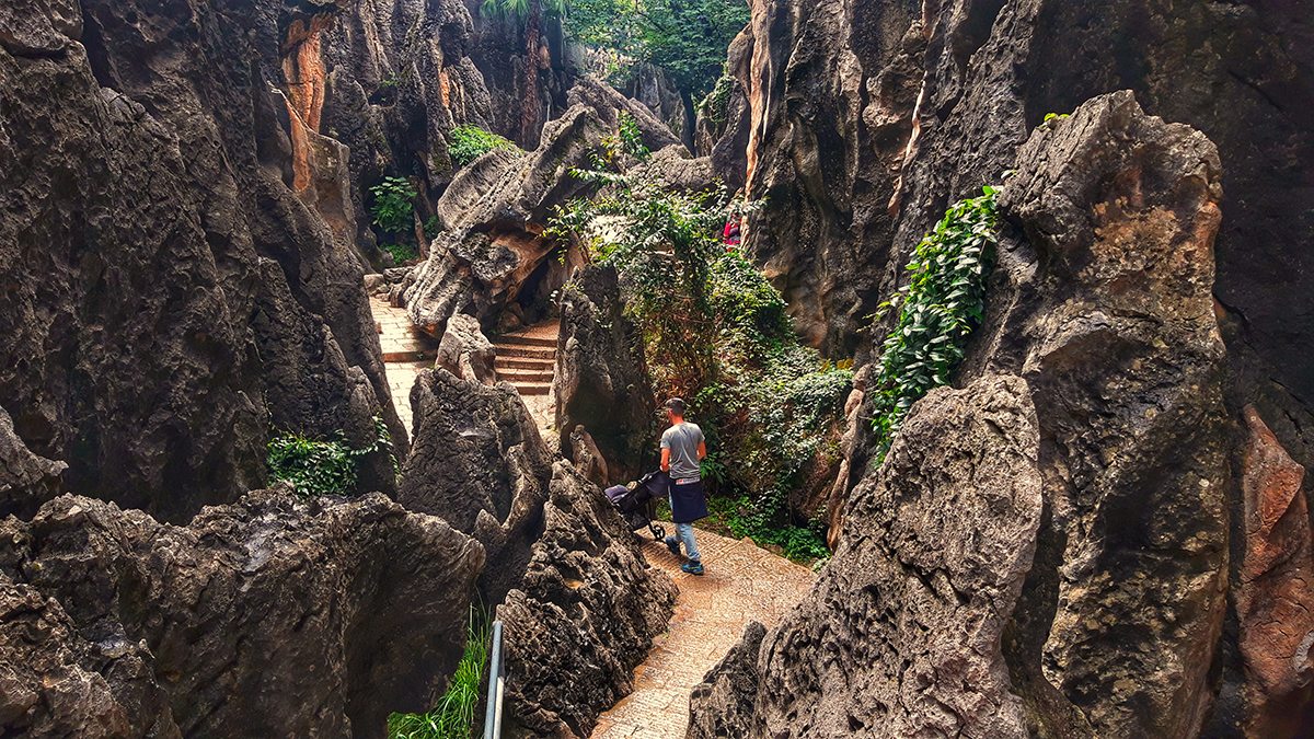 20240608_111719_edited copia