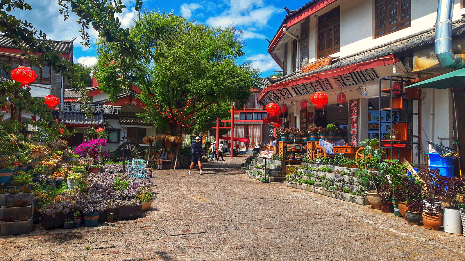 20240616_153609_edited copia