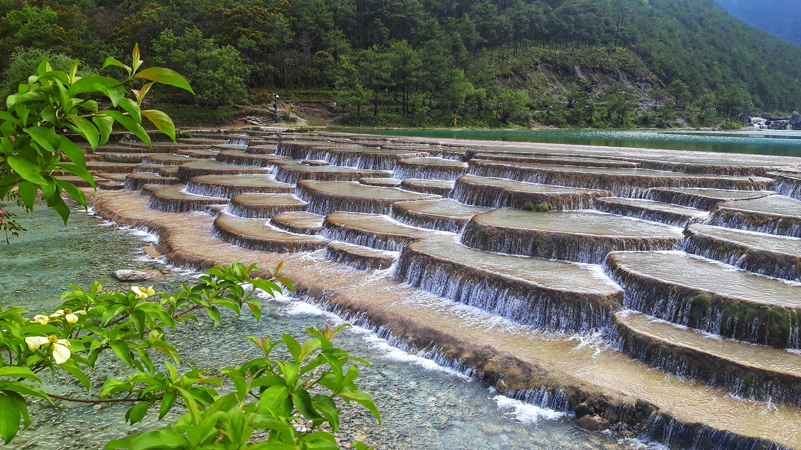 20240617_174419_edited copia