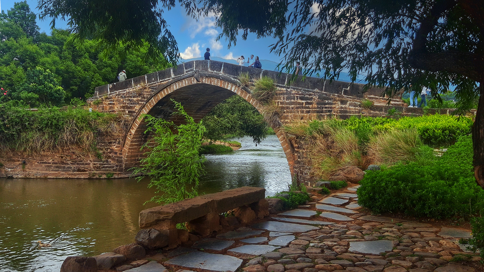 20240618_150241_edited copia