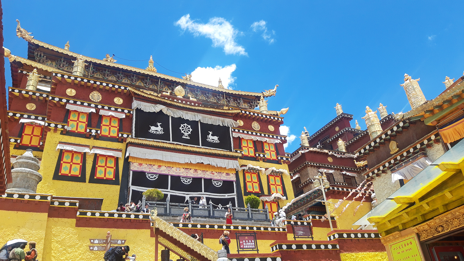 20240621_135310 copia